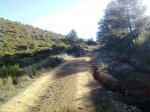 Imagen0062.jpg