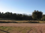IMG_8182.JPG
