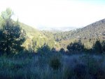 Imagen0060.jpg
