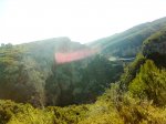 Imagen0067.jpg