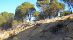 DSCN2666.JPG