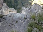 CIMG0547.JPG