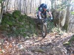 5-2-2011 036.JPG