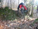 5-2-2011 038.JPG
