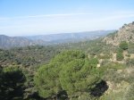Imagen 044.jpg