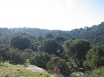 Imagen 045.jpg