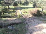 Imagen 038.jpg