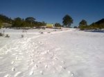 nieve2.jpg