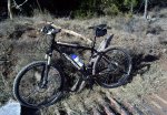 bici2.jpg