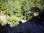 IMG_0019.JPG