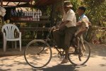 IMG_5114 Cow on a Bike.jpg