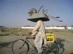 1bicicarretilla.jpg