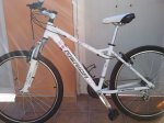 2011-02-07 16.21.46.jpg