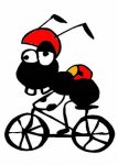 hormiga-bici02.JPG