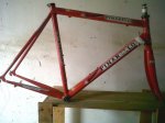 pinarello paris 2001.jpg