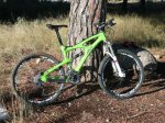 Ibis2011w3.JPG