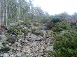 09022011043.jpg