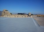 DSC00012-1.jpg