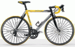 k1781059676.gif