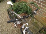 YBBMangoXTRWheels010.jpg