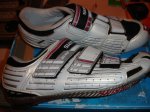 DSC02533.JPG