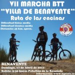 cartel marcha villa de benavente 2011-2.jpg