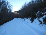 IMG_2859.JPG