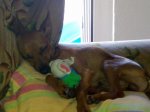 30082010200 (Copiar).jpg