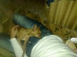 18082010181 (Copiar).jpg