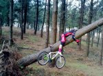 100220111779_800x600.jpg