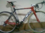 vivelo.jpg