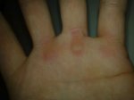 11022011889.jpg