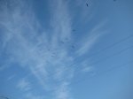 IMG_0363.JPG