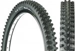 tioga%20black%20turtle.jpg
