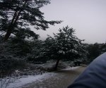 P0000028_redimensionar.JPG