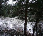 P0000029_redimensionar.JPG