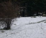 P0000034_redimensionar.JPG