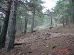 DSC00439.JPG