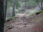 DSC00440.JPG
