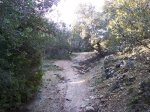 100_2248 (Custom).JPG
