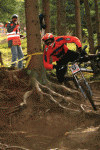 PIC2.gif