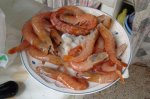 DSC02810.jpg