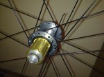 Imagen0752.jpg