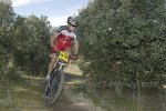 Tres Cantos_0117.JPG