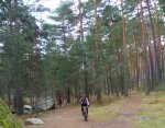 Foto17.JPG
