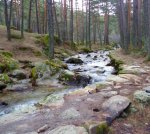 Foto9.JPG