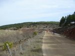 DSC01687.JPG