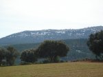 DSC01701.JPG