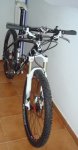 DSC08571-8.JPG