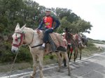 Makina y burro.JPG